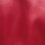 3/4 AGNEAU IOLANDA WAXY