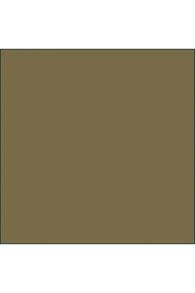 Kaki